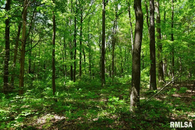 $69,598 | 1 Robinson Hill Road, Stonefort, IL 62987