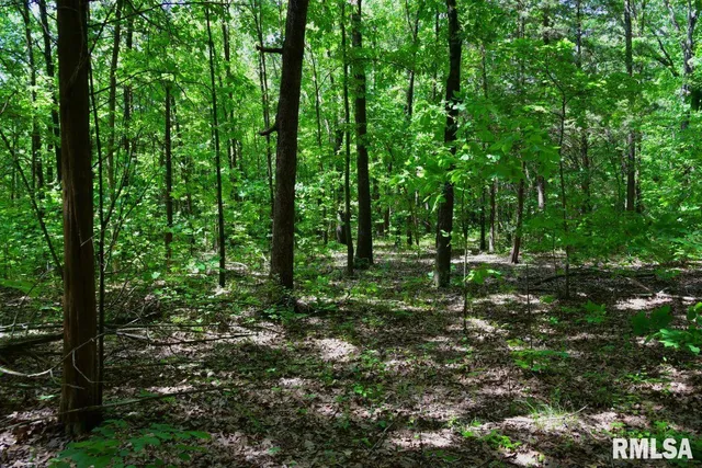 $69,598 | 1 Robinson Hill Road, Stonefort, IL 62987