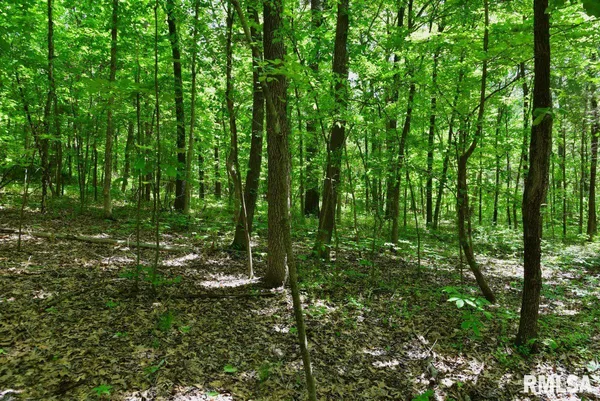 $62,920 | 1 Robinson Hill Road, Stonefort, IL 62987