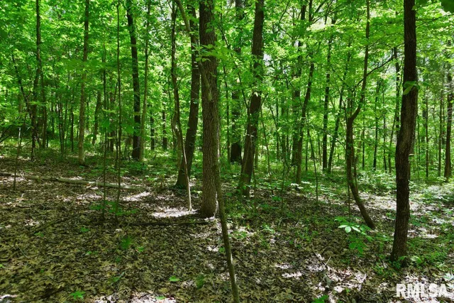 $69,598 | 1 Robinson Hill Road, Stonefort, IL 62987