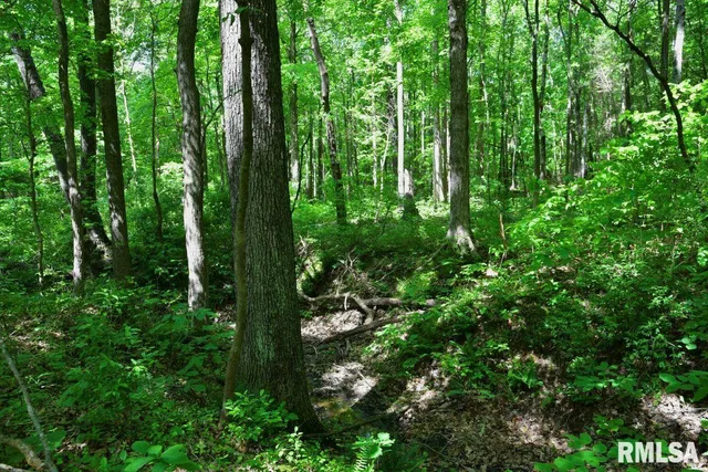 $69,598 | 1 Robinson Hill Road, Stonefort, IL 62987