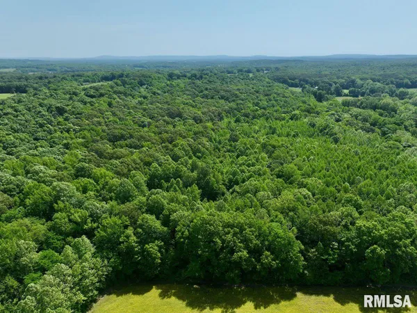 $62,920 | 1 Robinson Hill Road, Stonefort, IL 62987