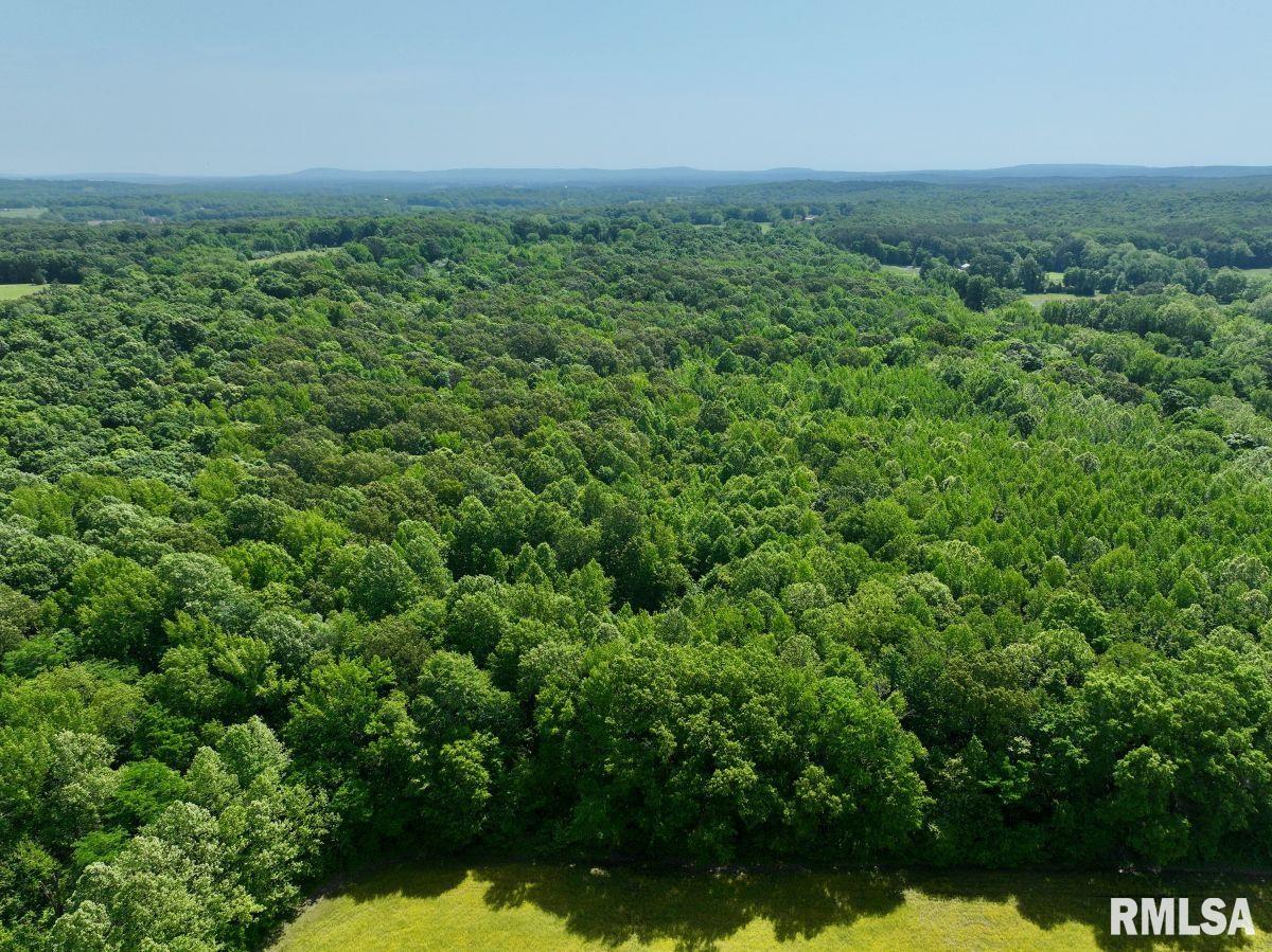 1 Robinson Hill Road Stonefort, IL 62987 - Photo 29 of 30