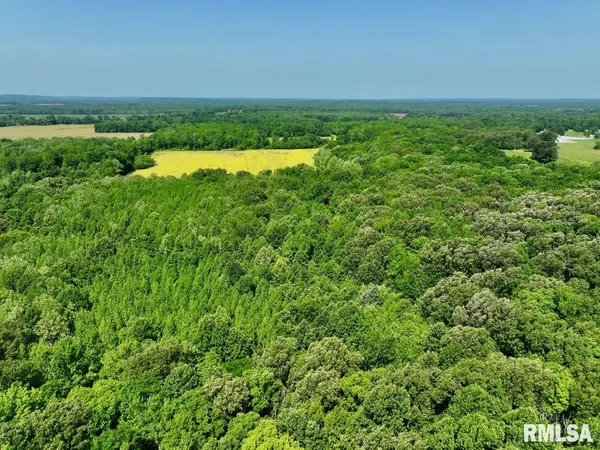 $62,920 | 1 Robinson Hill Road, Stonefort, IL 62987