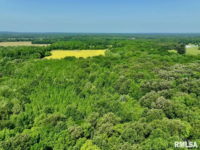 $69,598 | 1 Robinson Hill Road, Stonefort, IL 62987