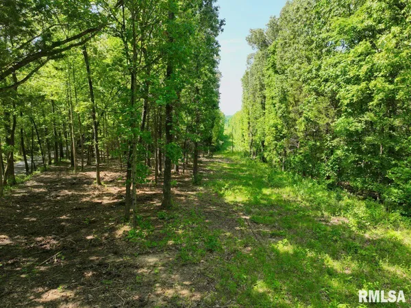 $62,920 | 1 Robinson Hill Road, Stonefort, IL 62987