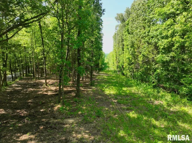 $69,598 | 1 Robinson Hill Road, Stonefort, IL 62987