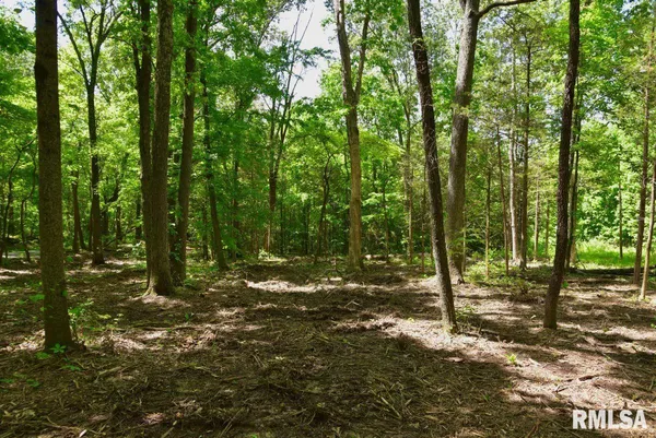 $62,920 | 1 Robinson Hill Road, Stonefort, IL 62987