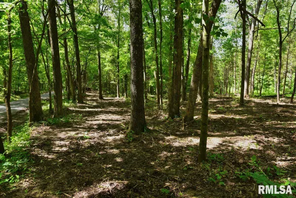 $62,920 | 1 Robinson Hill Road, Stonefort, IL 62987