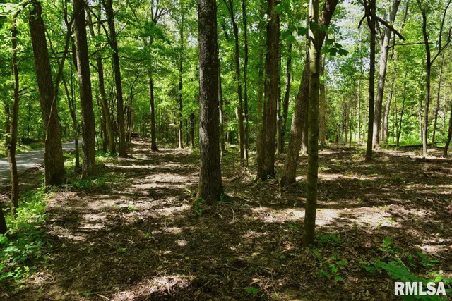 $69,598 | 1 Robinson Hill Road, Stonefort, IL 62987