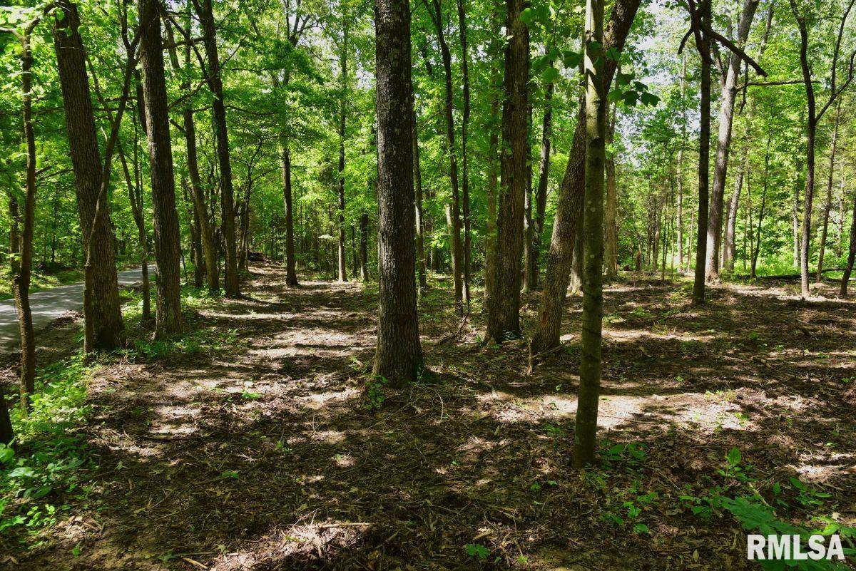 1 Robinson Hill Road Stonefort, IL 62987 - Photo 6 of 30