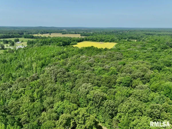 $62,920 | 1 Robinson Hill Road, Stonefort, IL 62987