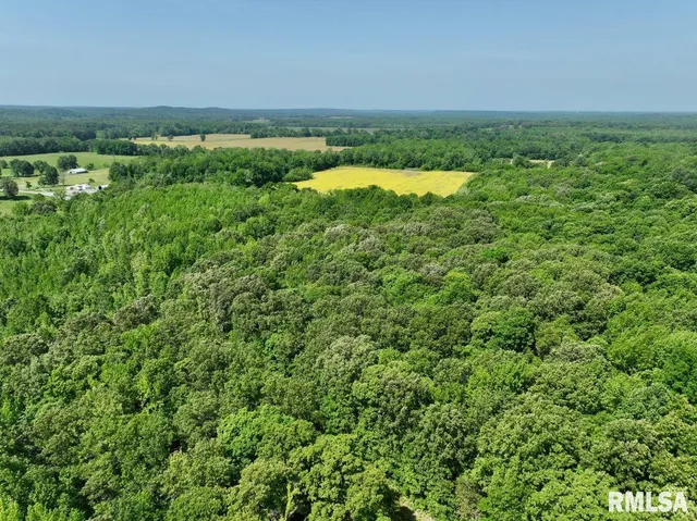 $69,598 | 1 Robinson Hill Road, Stonefort, IL 62987