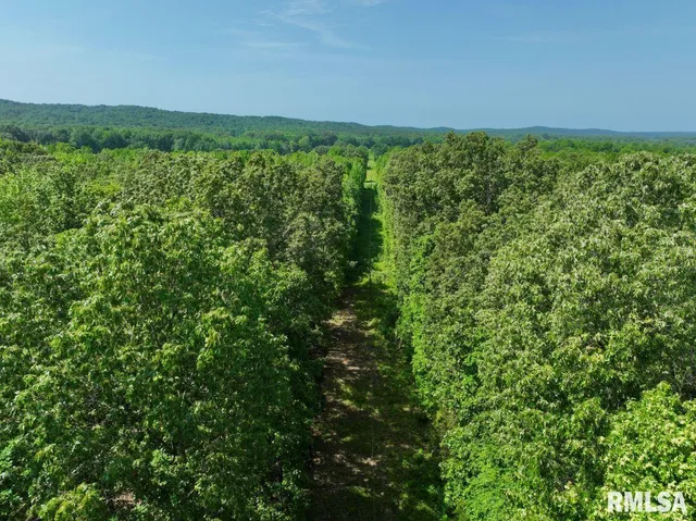 $69,598 | 1 Robinson Hill Road, Stonefort, IL 62987