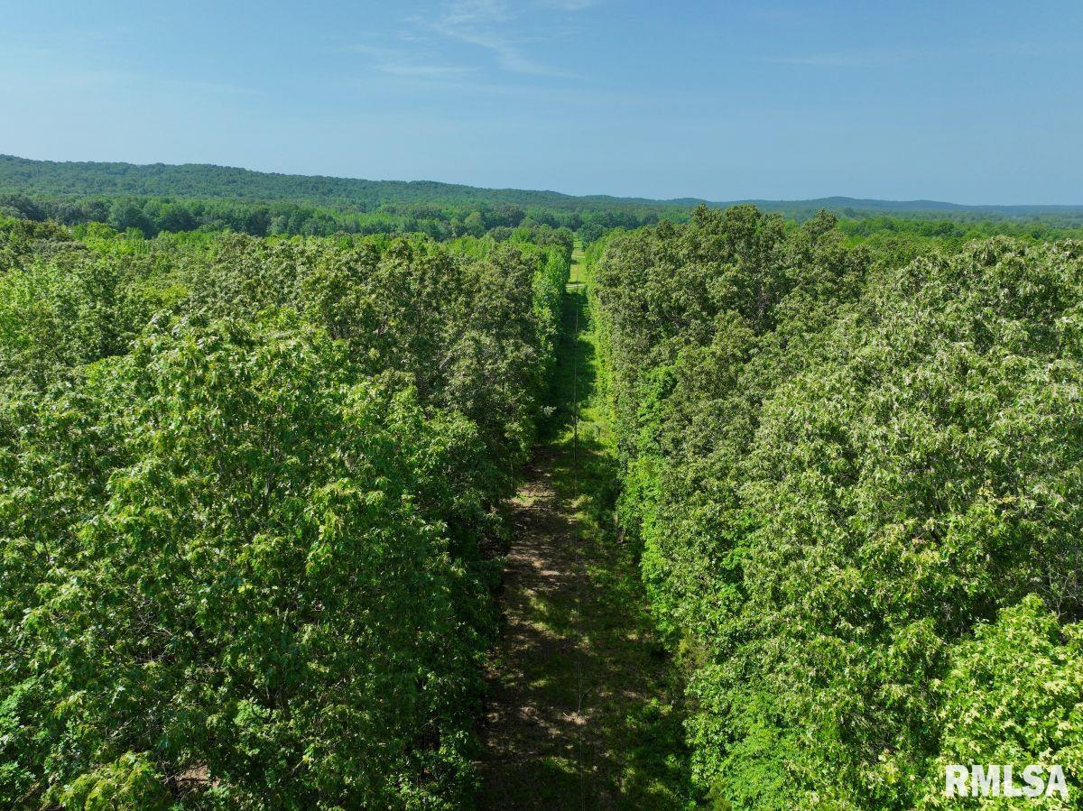 1 Robinson Hill Road Stonefort, IL 62987 - Photo 8 of 30