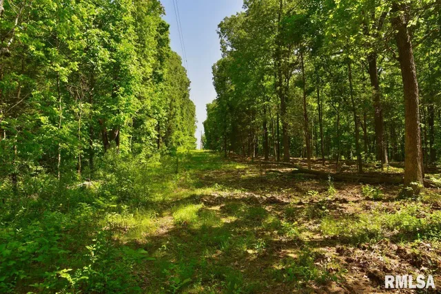 $69,598 | 1 Robinson Hill Road, Stonefort, IL 62987