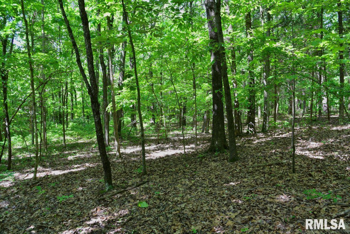 1 Robinson Hill Road Stonefort, IL 62987 - Photo 10 of 30