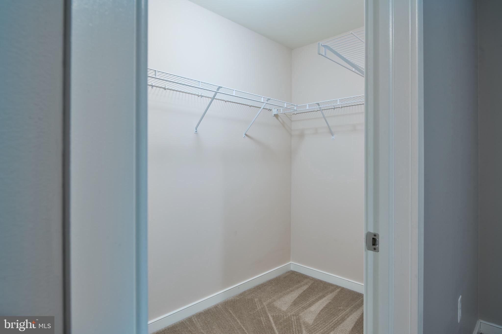 3222 Shellers Bend, Unit 209 State College, PA 16801 - Photo 54 of 76 Lower level bedroom walk in closet
