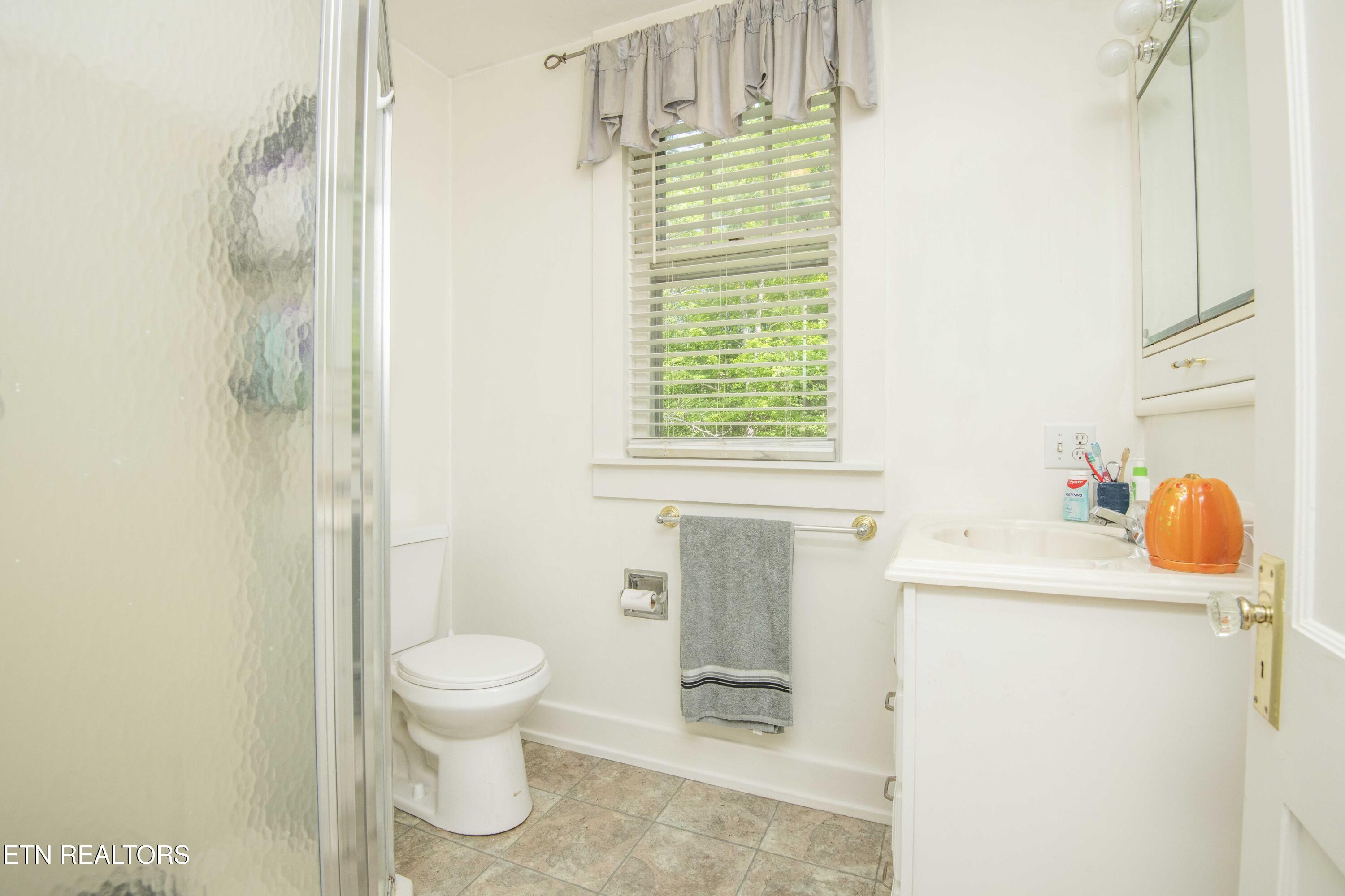 17761 Alberta Street Oneida, TN 37841 - Photo 25 of 56 bath_1