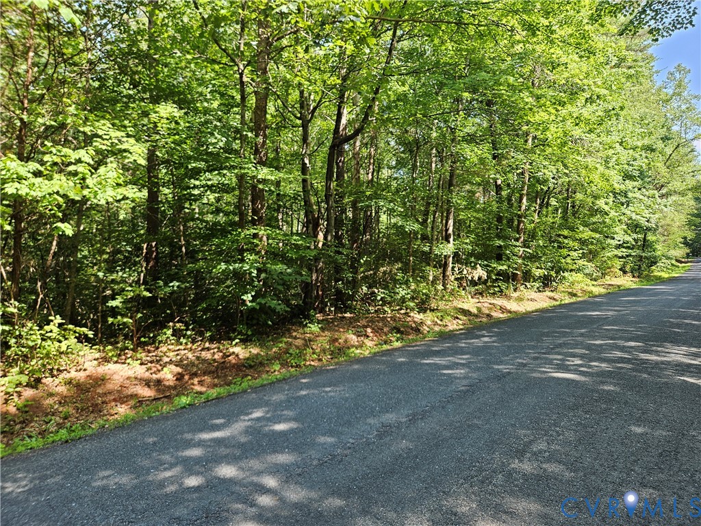 9-ac Childress Road Dillwyn, VA 23936 - Photo 3 of 8