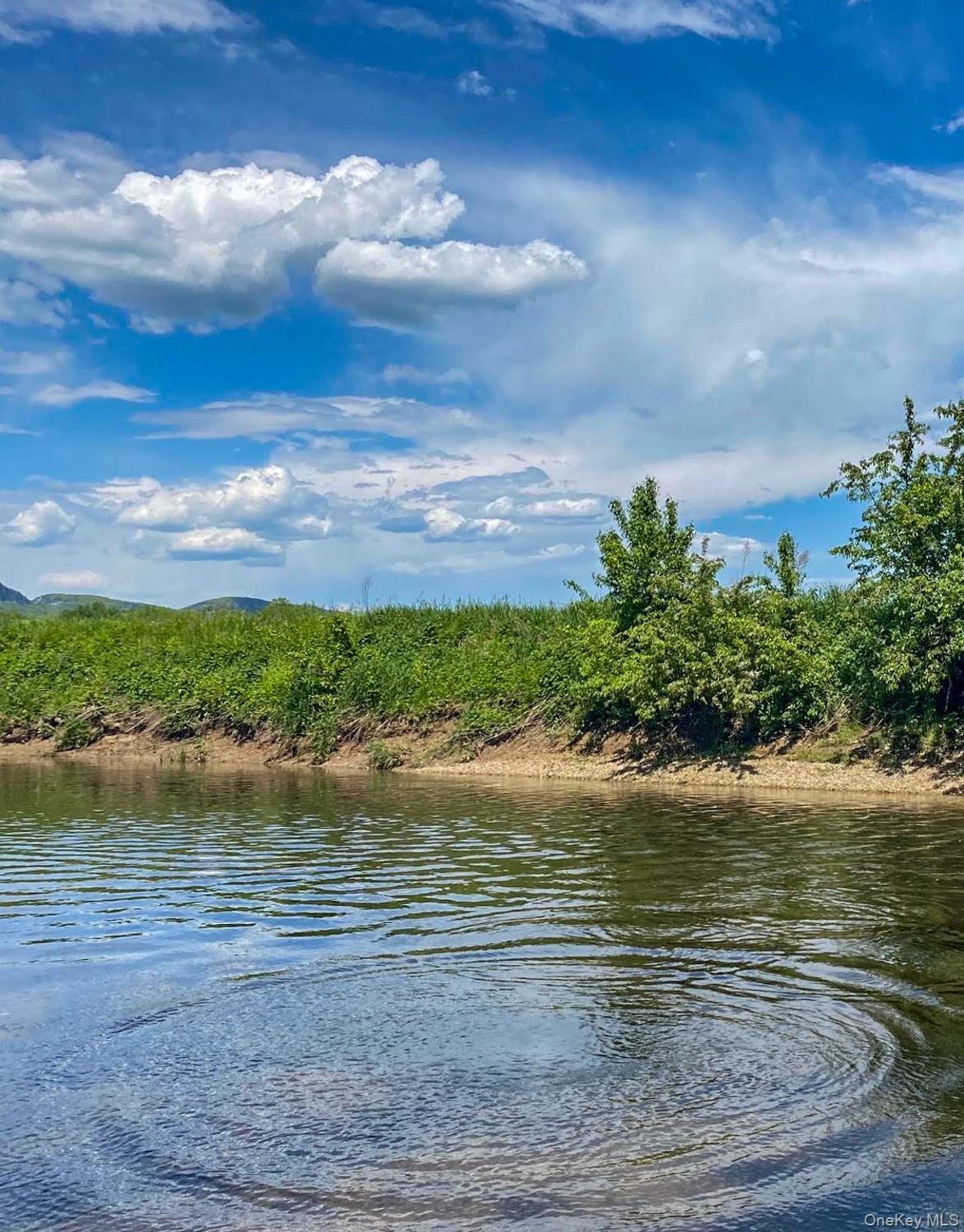 1201 Bruynswick Road Gardiner, NY 12525 - Photo 2 of 45 a view of a lake view