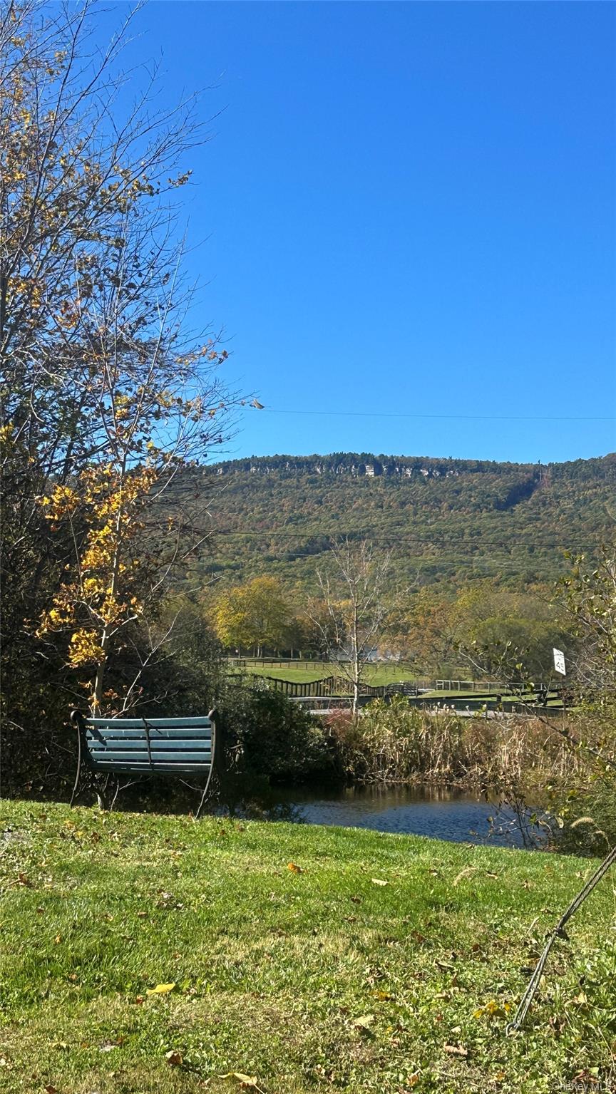 1201 Bruynswick Road Gardiner, NY 12525 - Photo 41 of 45 a view of a lake with houses in the background