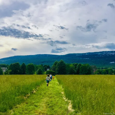 a view of a lake with houses in the back
