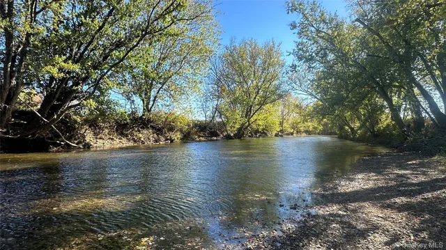a view of river covered with trees