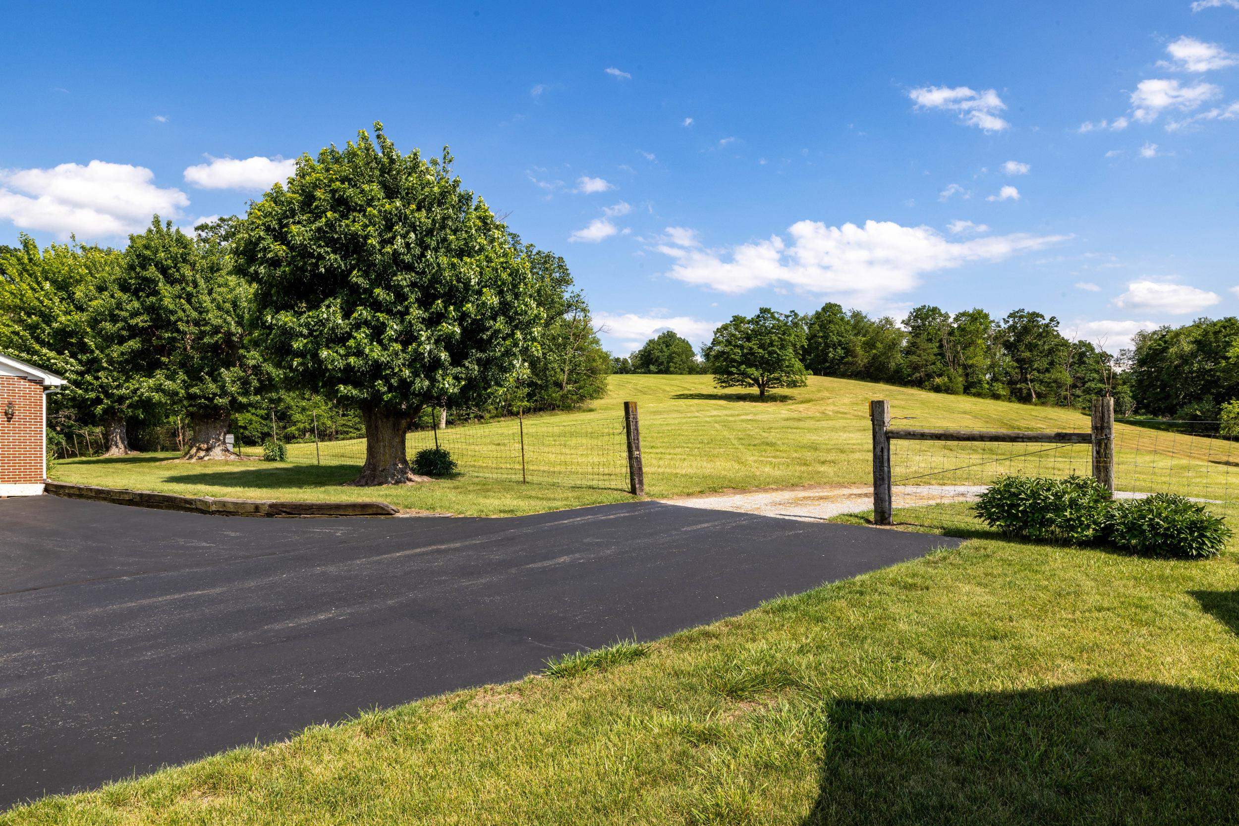 12199 Hollow Road Fulks Run, VA 22830 - Photo 48 of 75