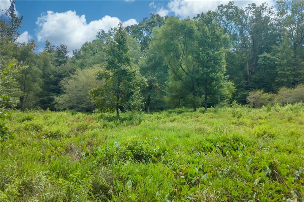 1345 Chandler Road Lawrenceville, GA 30045 - Photo 91 of 97