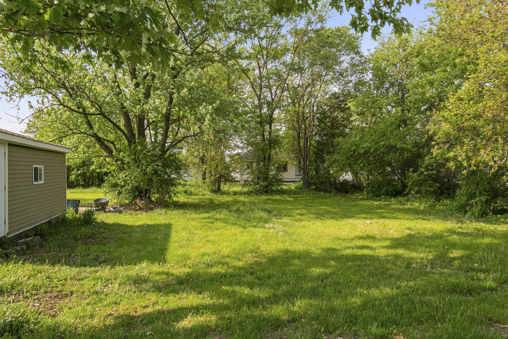 444 West Indiana Avenue Beecher, IL 60401 - Photo 3 of 20 a view of a trees in a yard