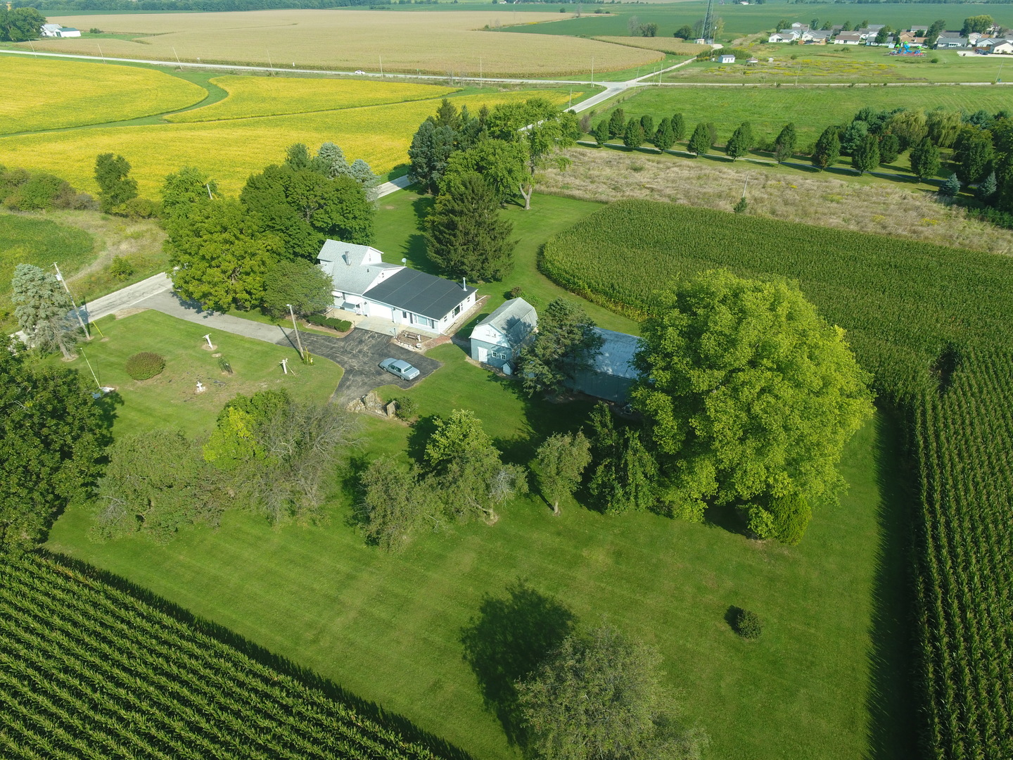 12454 Cracker Road Farmer City, IL 61842 - Photo 17 of 23 a view of a green yard with large trees
