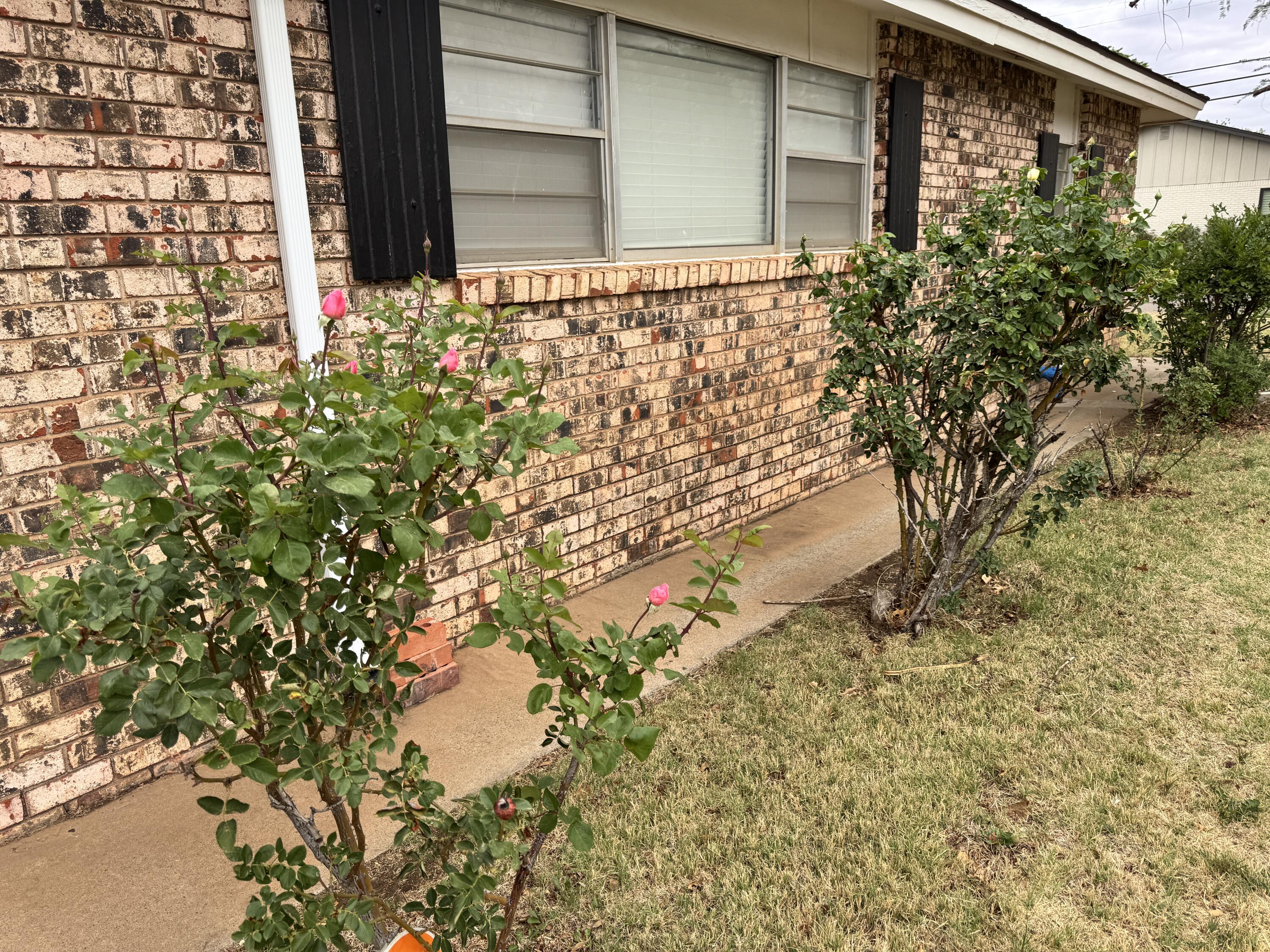 1209 Garland Plainview, TX 79072 - Photo 37 of 38