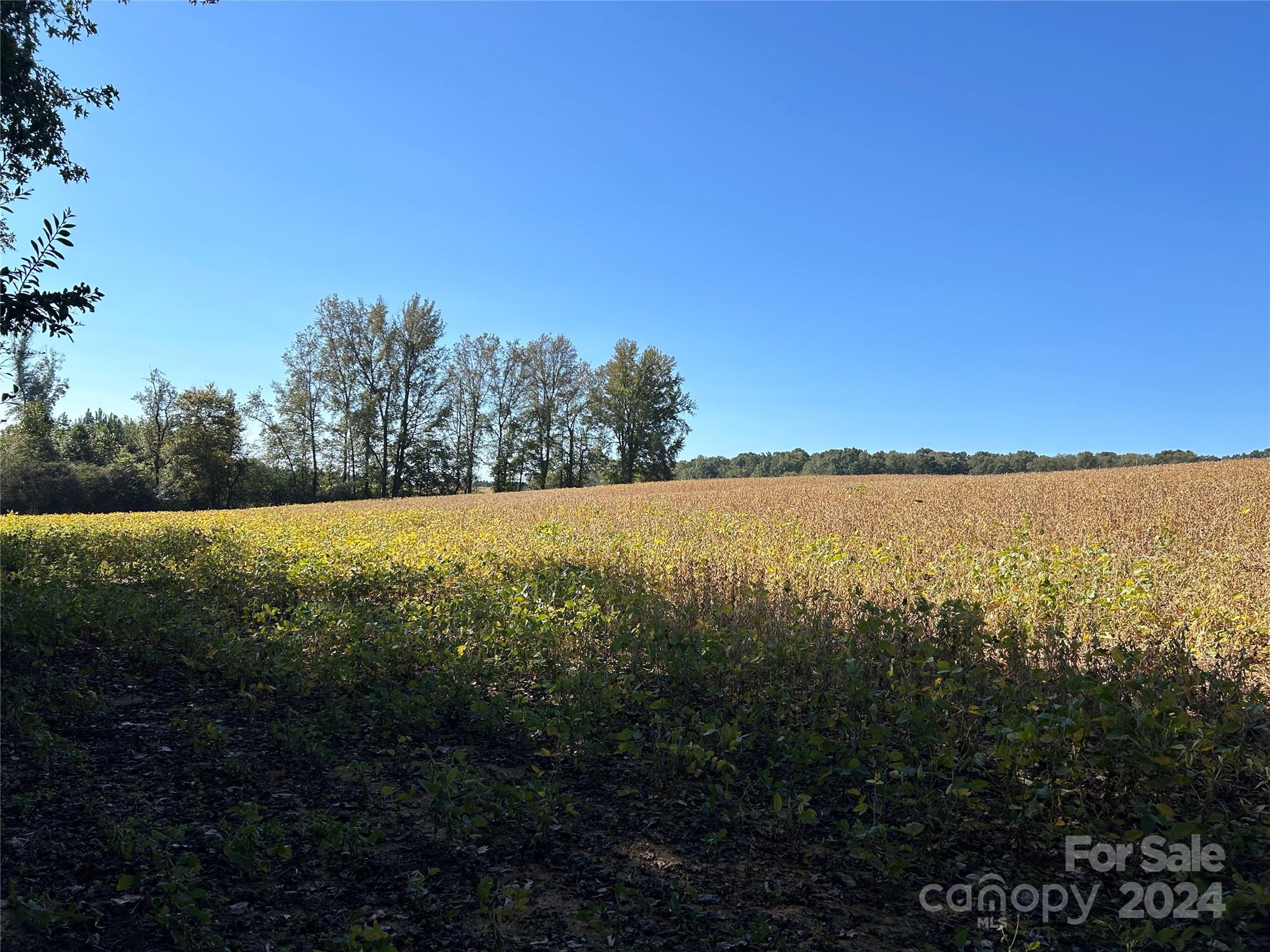5 Ramsey Road Albemarle, NC 28001 - Photo 1 of 18 Gallery Image 1