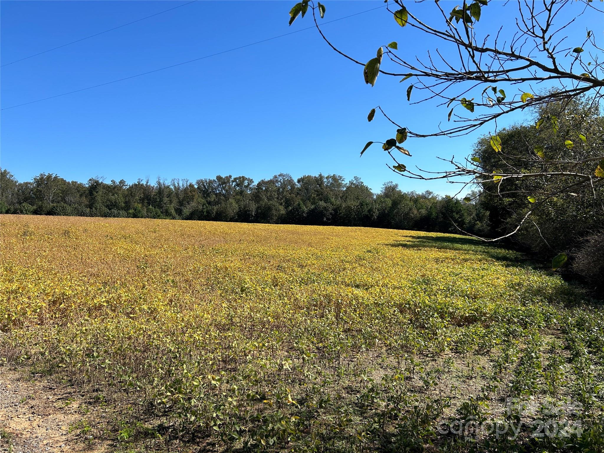 5 Ramsey Road Albemarle, NC 28001 - Photo 13 of 18 Gallery Image 13