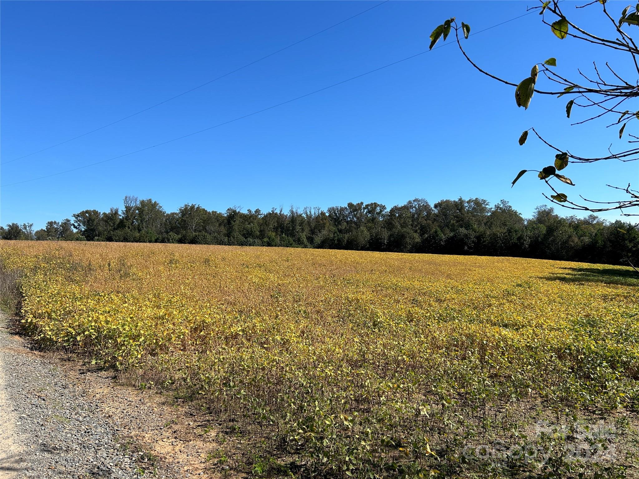 5 Ramsey Road Albemarle, NC 28001 - Photo 14 of 18 Gallery Image 14