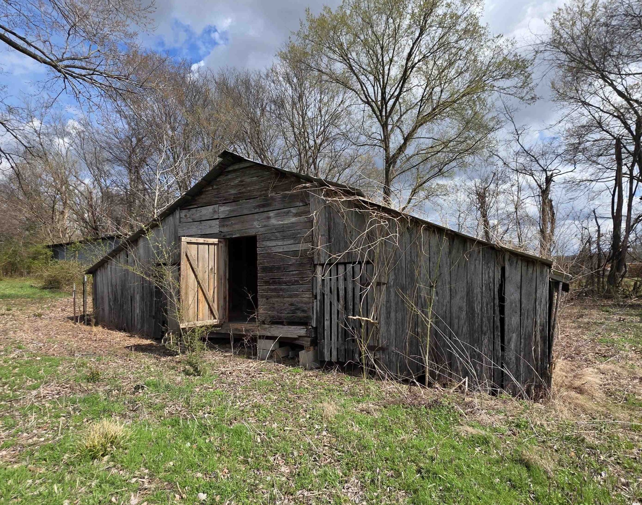 1669 Russell Bond Road Millington, TN 38053 - Photo 9 of 21