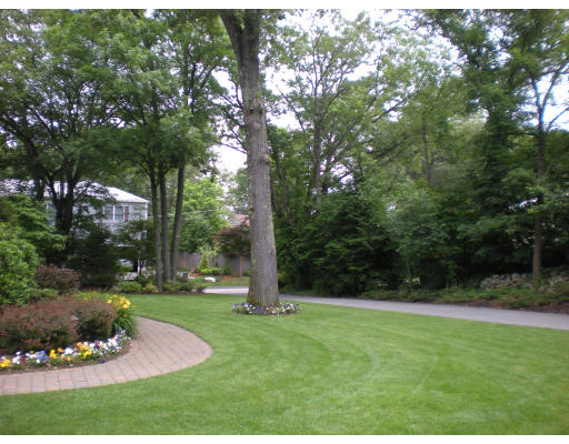 31 Bird Street Needham, MA 02492 - Photo 12 of 13