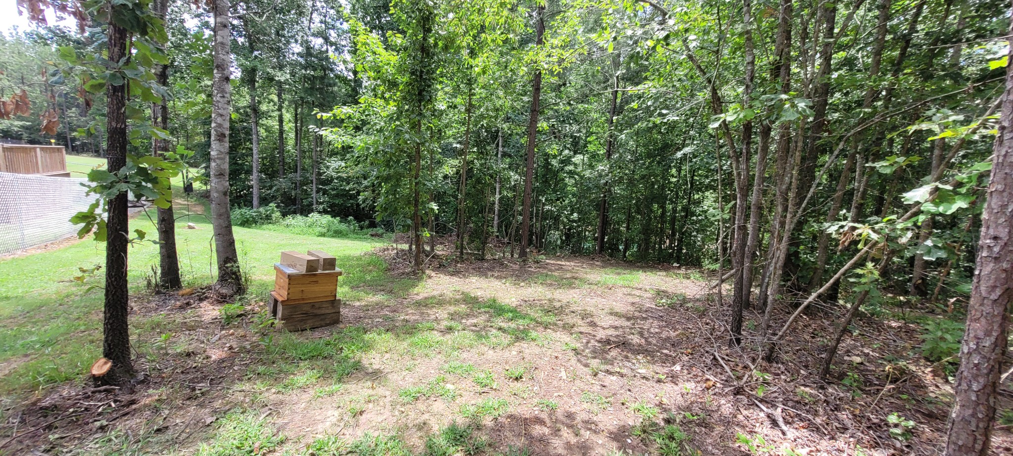 167 Freeman Fielder Road Tennessee Ridge, TN 37178 - Photo 53 of 60