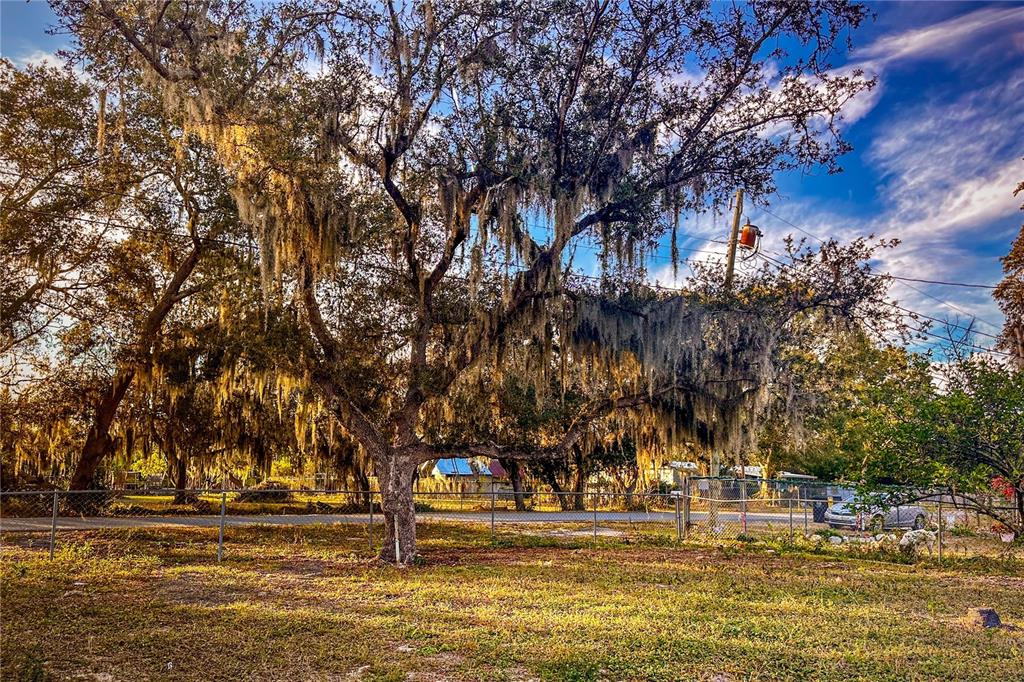 198 Spurlock Road Frostproof, FL 33843 - Photo 50 of 50 a building with trees in front of it