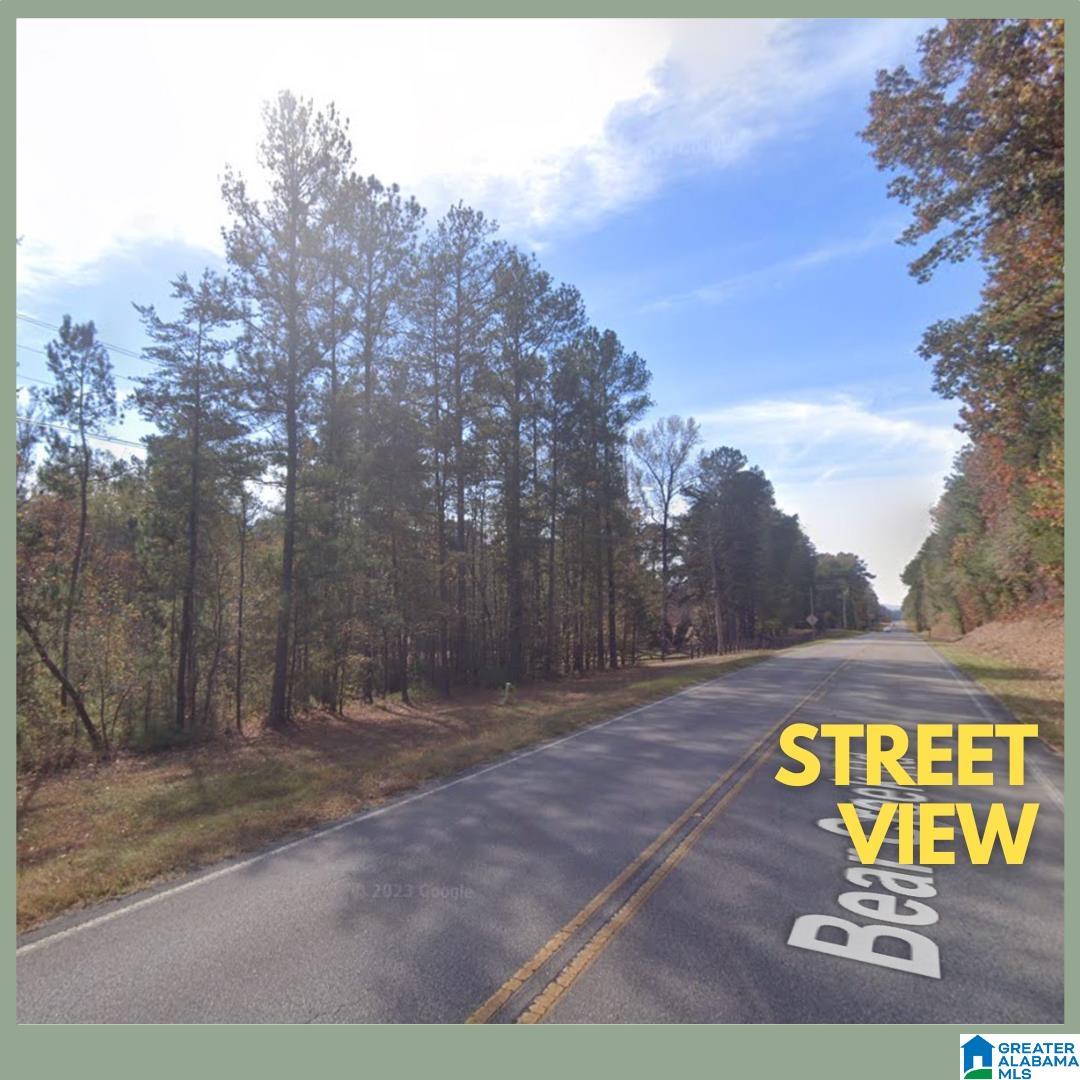 0 Bear Creek Road Sterrett, AL 35147 - Photo 9 of 12