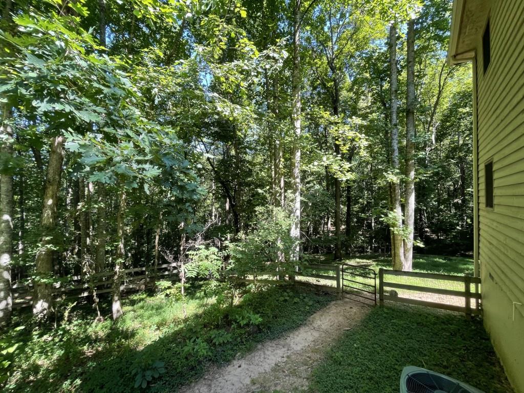 988 Rocktree Road Dahlonega, GA 30533 - Photo 10 of 53