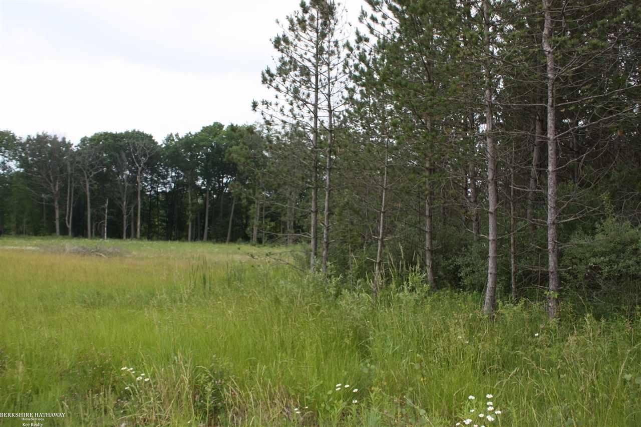 0 36 36 Mile Road Romeo, MI 48065 - Photo 11 of 21