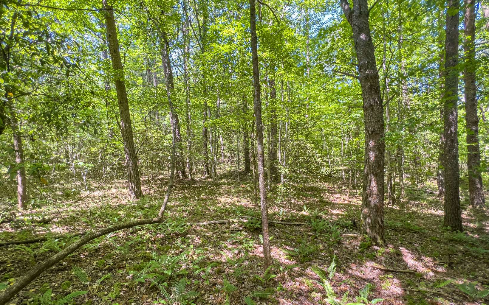 9.33 A Havanogotta Road Mineral Bluff, GA 30559 - Photo 21 of 48 Additional View