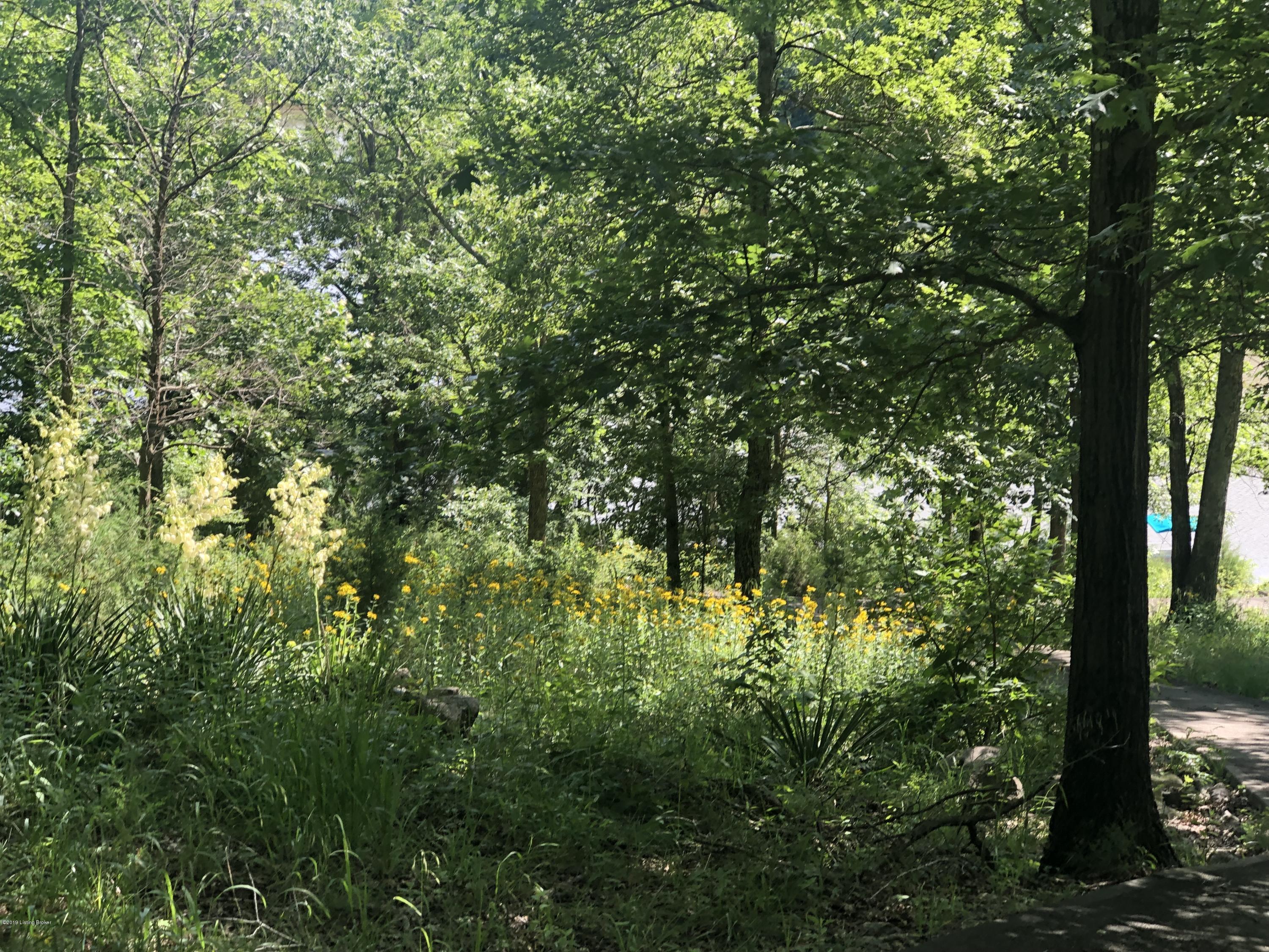 154 Ridge Pole Road Brandenburg, KY 40108 - Photo 46 of 67 52DF5748-2763-41B5-B382-C9096EFEF003