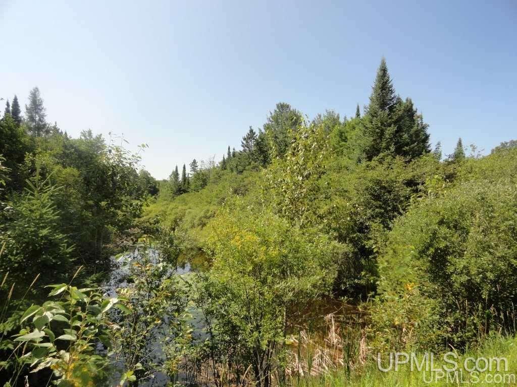 Tbd Tunteri Road Chatham, MI 49816 - Photo 12 of 15