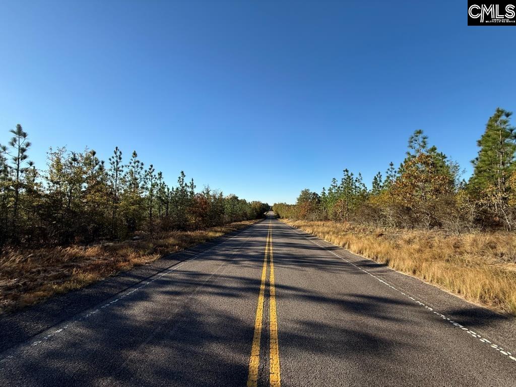 Fairview Road Leesville, SC 29070 - Photo 2 of 12