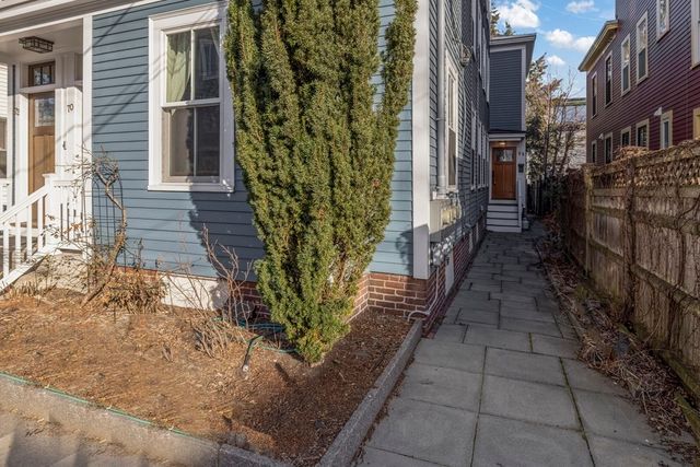 a view of a pathway with plants