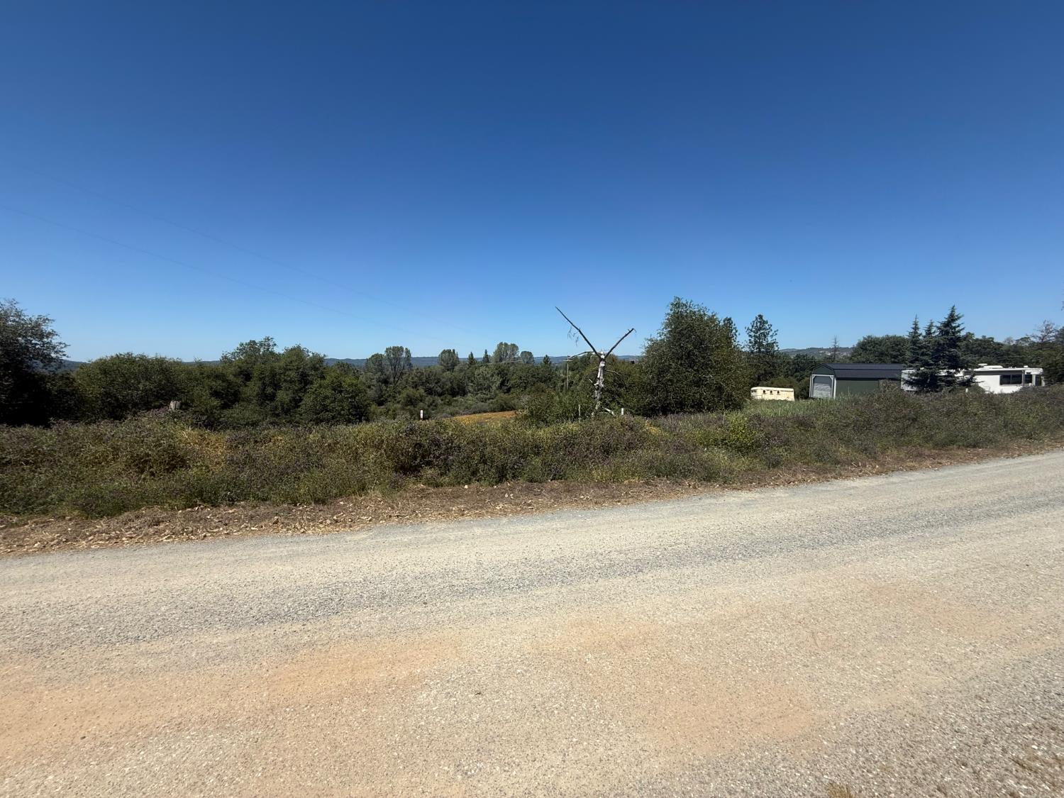 2322 Myrick Road Somerset, CA 95684 - Photo 25 of 30 a view of a rural road with plants