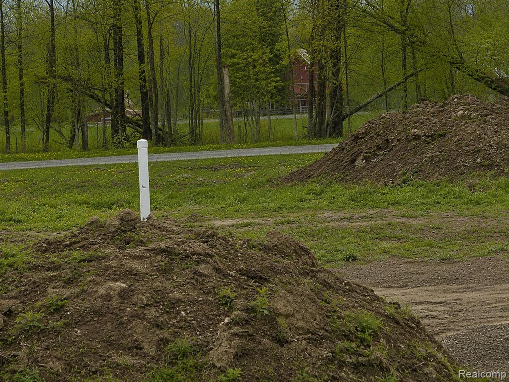 13199-masters R Masters Road Memphis, MI 48041 - Photo 2 of 4
